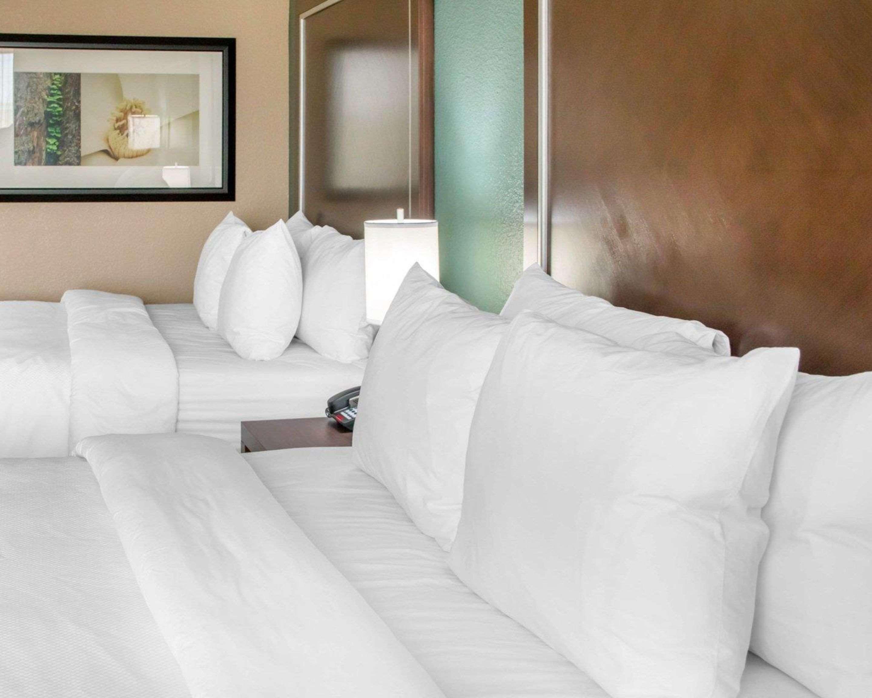 Comfort Inn & Suites San Marcos Eksteriør billede