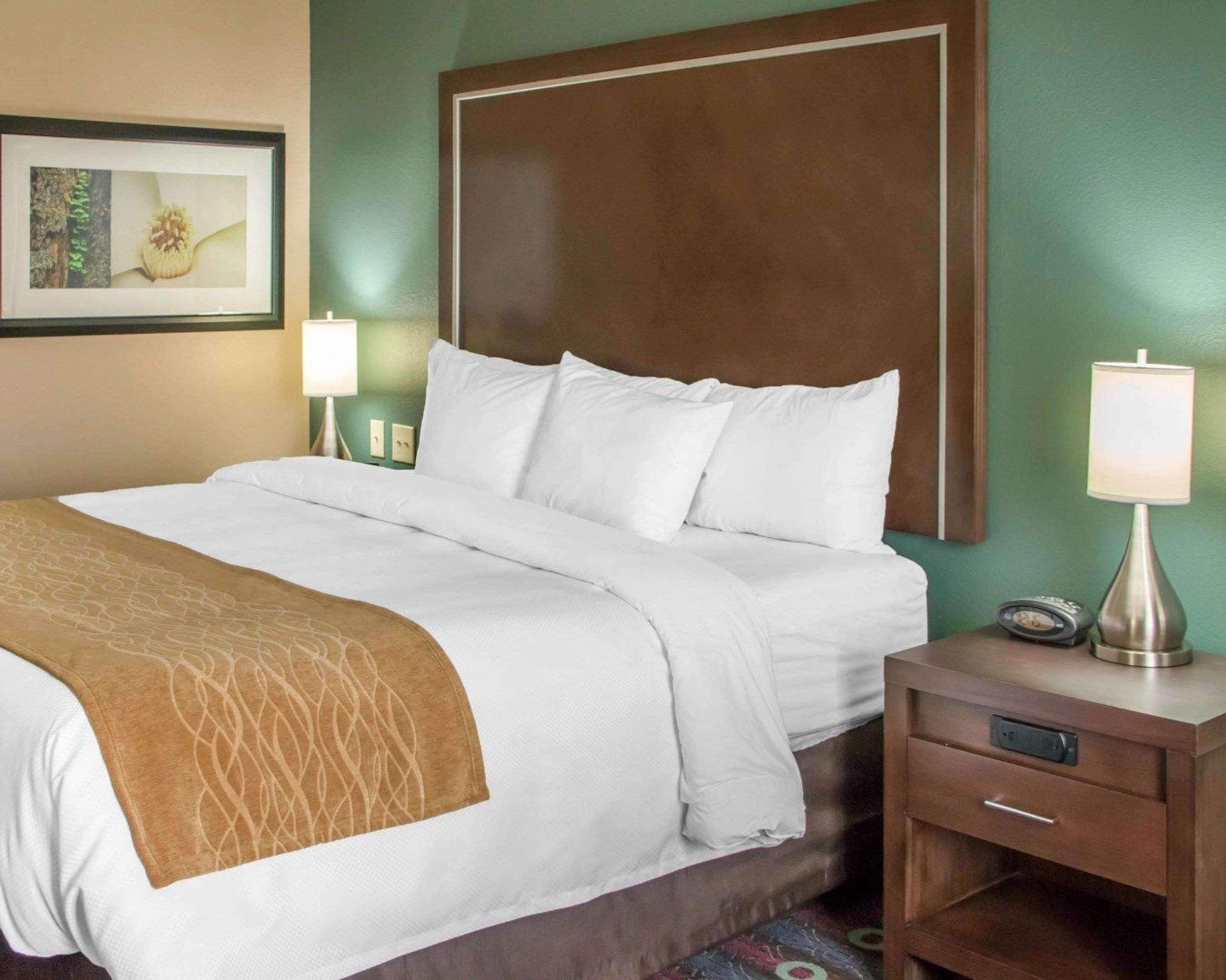 Comfort Inn & Suites San Marcos Eksteriør billede