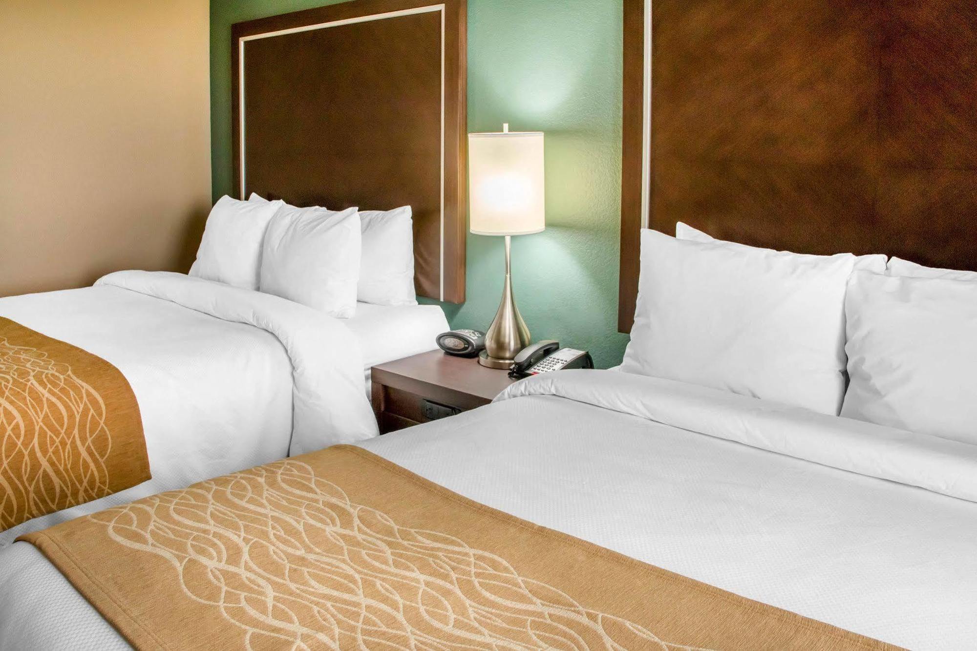 Comfort Inn & Suites San Marcos Eksteriør billede