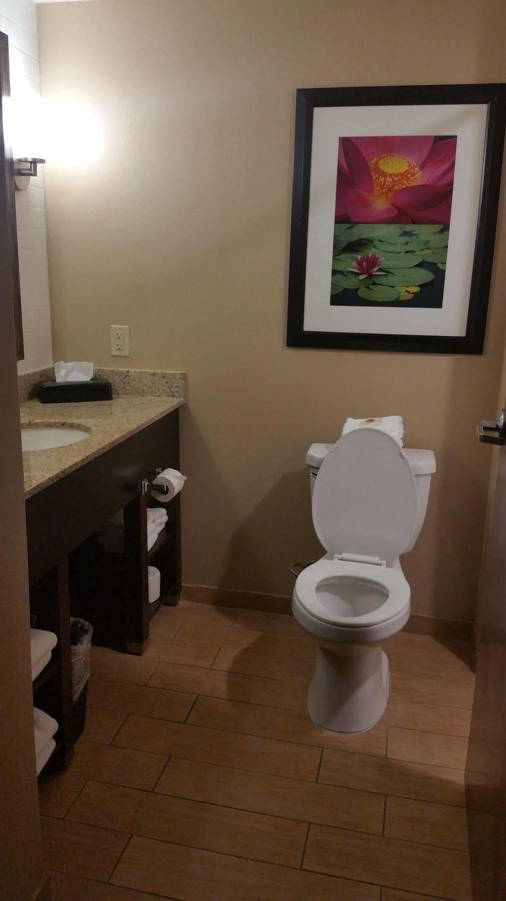 Comfort Inn & Suites San Marcos Eksteriør billede